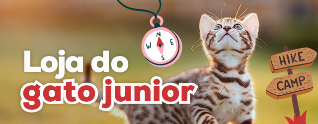 Loja do gato júnior: Tudo o que necessita para dar-lhe as boas-vindas